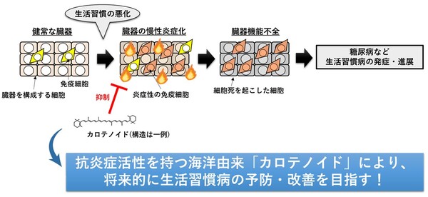 カロテノイド ―その多様性と生理活性― カロテノイド―その多様性と生理活性 | 高市 真一, 三室 守, 富田純史