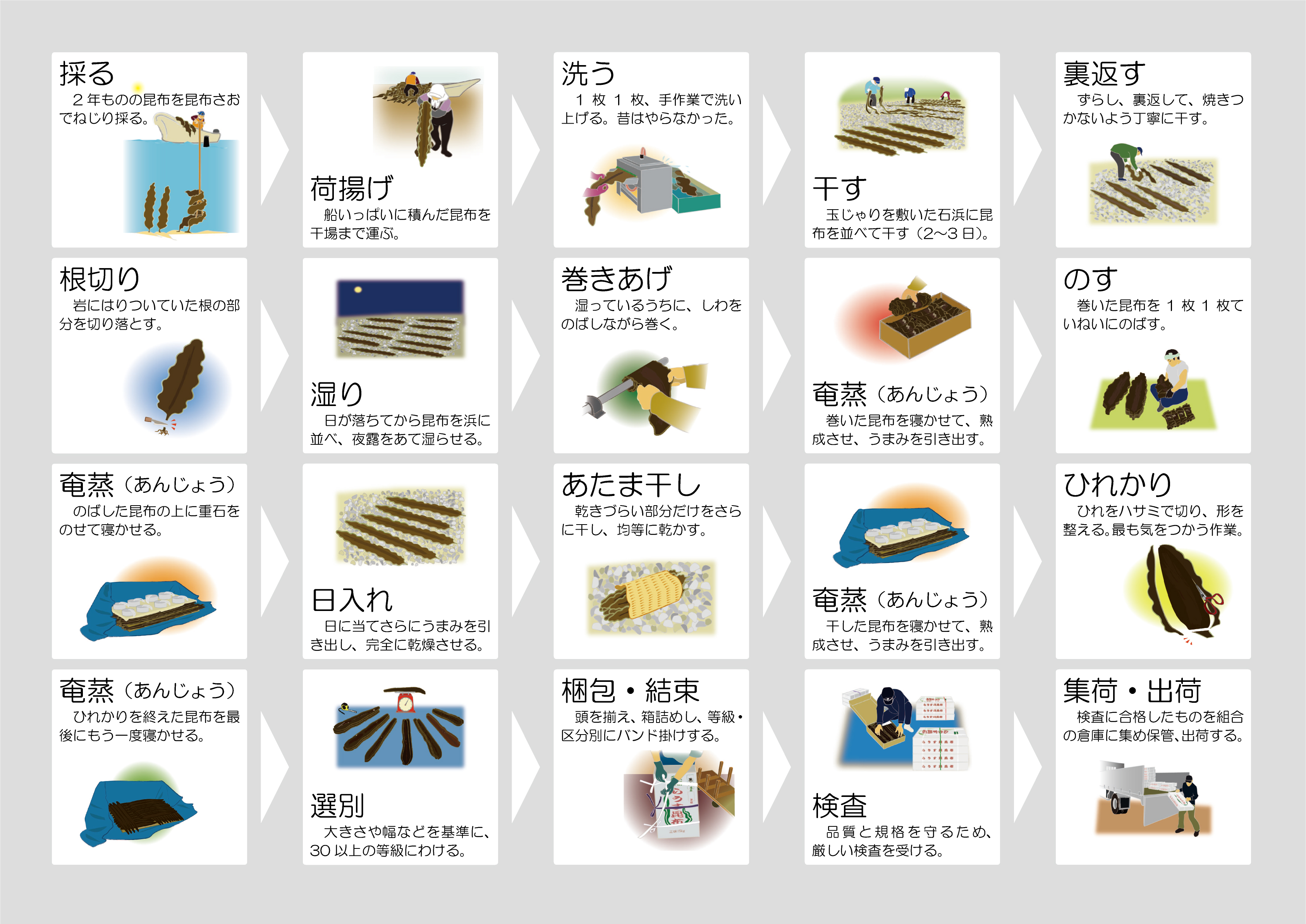 研究紹介 vol.05(昆布を用いた正月飾りの全国調査で、その歴史的背景を